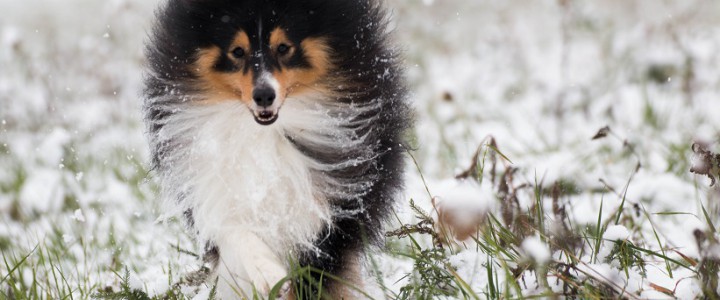 The first fun in the snow