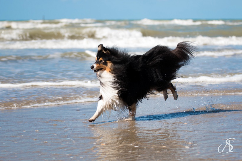 09082016depanne11klein