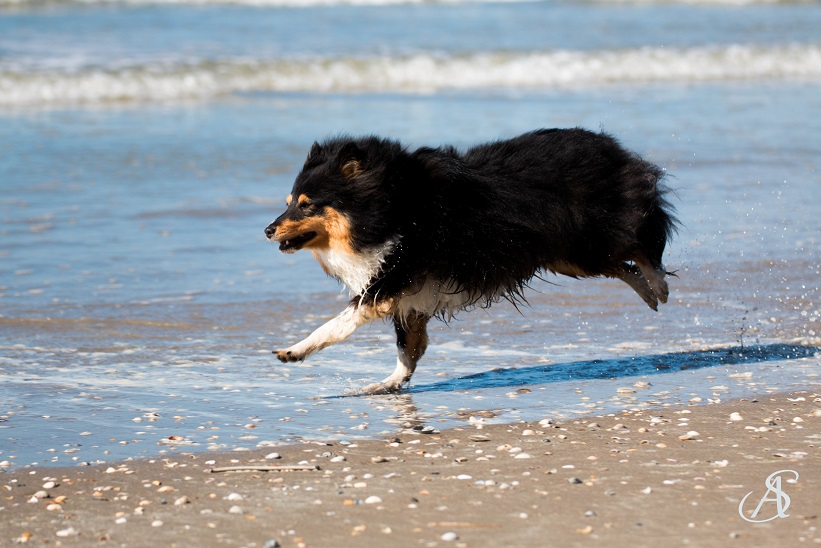 09082016depanne13klein