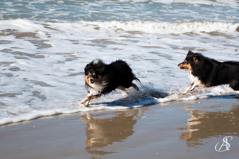 09082016depanne14klein